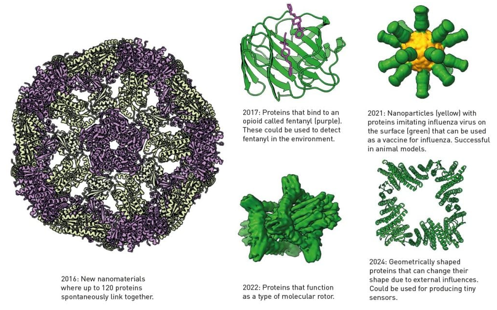 Protein được phát triển bằng chương trình Rosetta của Baker. Ảnh: Terezia Kovalova/ / Nobel Prize