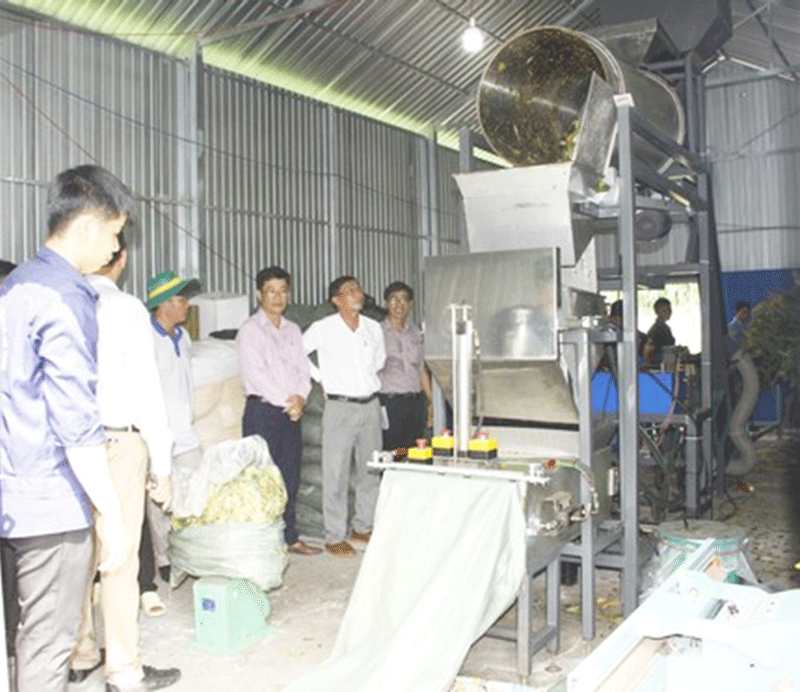 Dây chuyền chế biến thức ăn gia súc. Ảnh: NNC