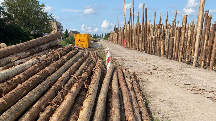 Underground Forest dự kiến sẽ ép các cọc cây xuống đất để “khóa cứng” carbon và gia cố nền móng cho dất. Ảnh: Kees de Gruiter