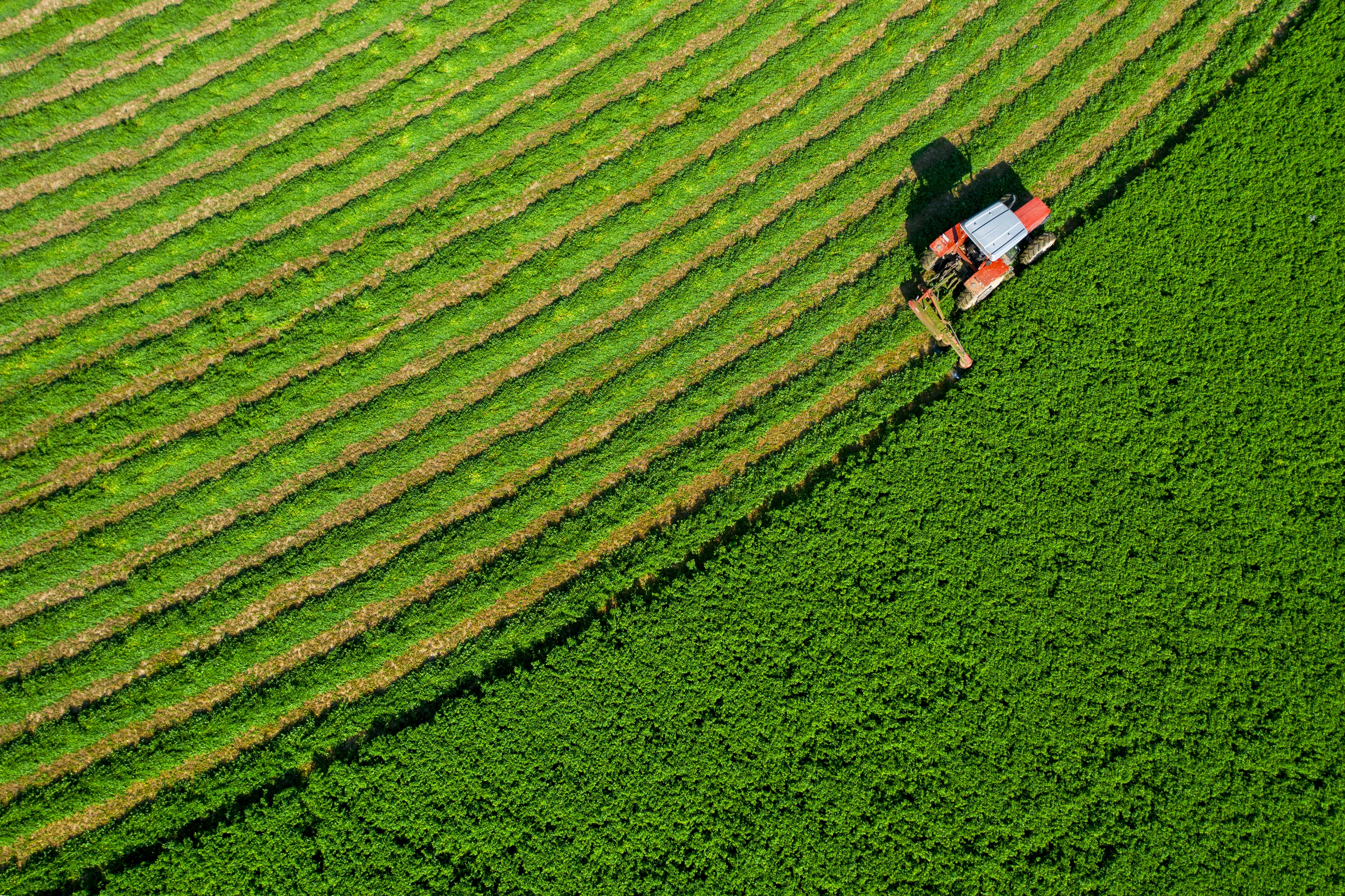 Nguồn: Shutterstock.