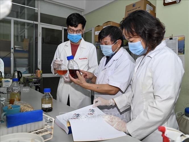 Sự sáp nhập và tinh gọn bộ máy các cơ quan quản lý, tổ chức nghiên cứu KH&CN. Trong ảnh: Một nhóm nghiên cứu sinh học của Viện Hàn lâm Khoa học và Công nghệ Việt Nam. Ảnh: TTXVN
