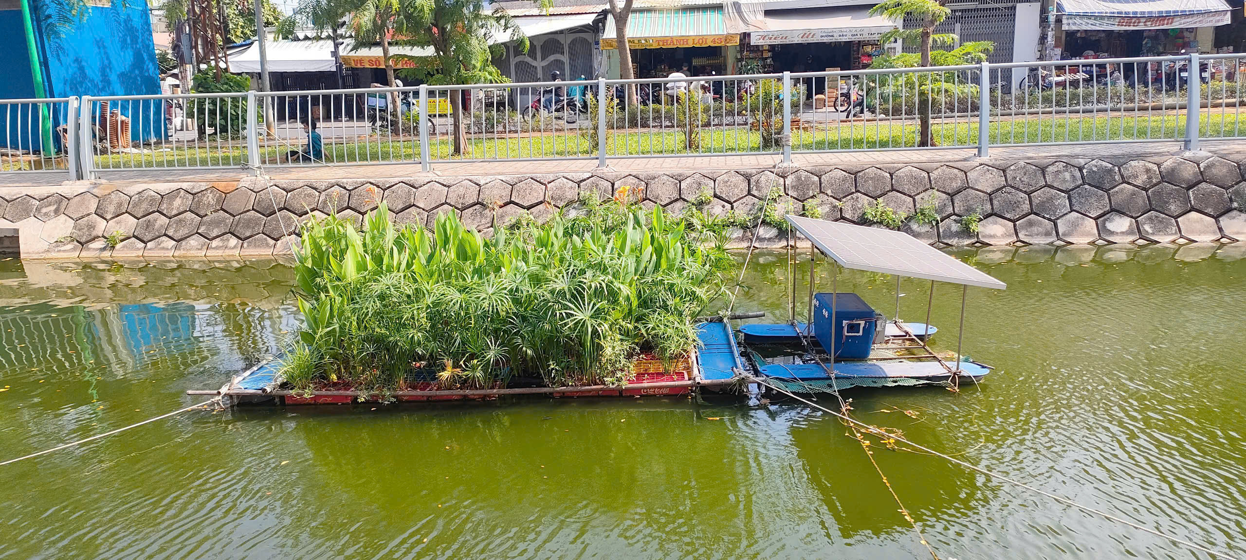 Hệ thống thực vật xử lý nổi được WasteTech Lab triển khai trên kênh Hàng Bàng. Ảnh: NVCC