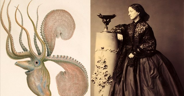 Jeanne Villepreux-Power (1794-1871) là nhà tự nhiên học đã làm sáng tỏ bí ẩn của bạch tuộc argonaut.