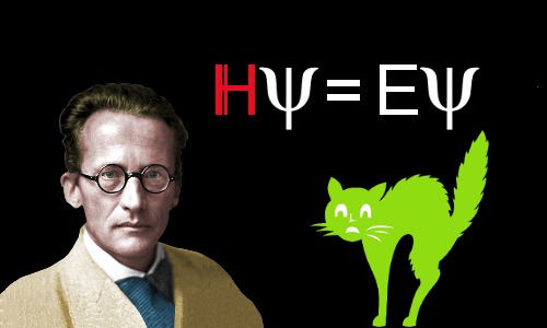 Schrödinger nổi tiếng với thí nghiệm tưởng tượng con mèo của Schrödinger, trong đó ông cố gắng chỉ ra sự vô lý của cách giải thích Copenhagen về cơ học lượng tử.