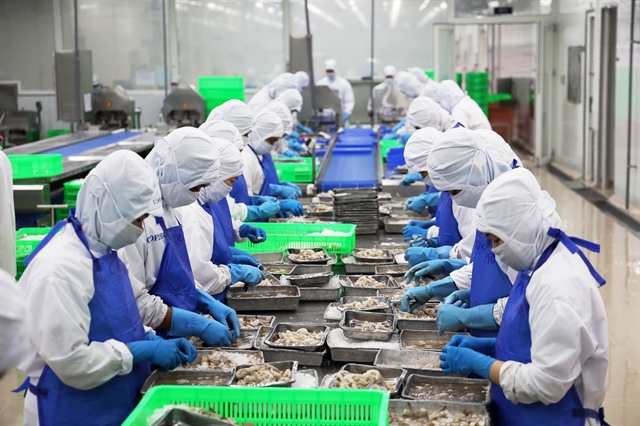 Các mối quan ngại về môi trường của ngành chế biến thủy sản liên quan đến việc xả chất ô nhiễm vào sông và biển mà không được xử lý đúng cách. Ảnh: VNA