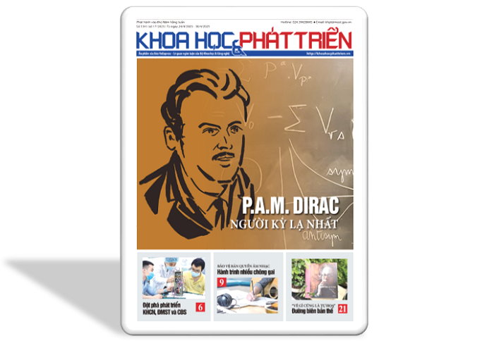 KHPT số 1341 (số 17/2025)