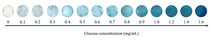 Hình ảnh điện cực giấy glass fiber ghi nhận sau phản ứng của D-Glucose với TMB-GOx-HRP lắng đọng trên điện cực được biến tính bằng plasma lạnh.