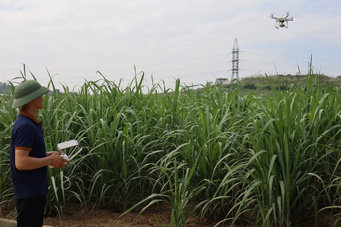 Thông qua ảnh từ drone, hệ thống AI sẽ thu thập dữ liệu về sức khỏe và thuộc tính của cây trồng, sau đó xử lý bằng trí tuệ nhân tạo để phân loại và tính toán phát thải carbon trong nông nghiệp. Ảnh: Aus4Innovation 