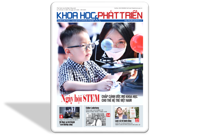 KHPT số 1345 (số 21/2025)