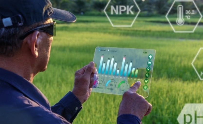 Việt Nam có thể bứt phá trong nông nghiệp thông qua việc dùng AI để đánh giá, điều chỉnh và dự báo quá trình chăn nuôi, trồng trọt.