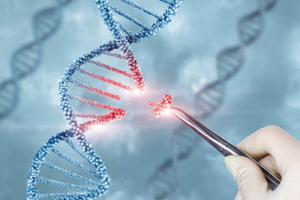 Các thể chế châu Âu vẫn đang tranh luận về cách quản lý các kỹ thuật gene mới (NGTs). Ảnh: Getty Images