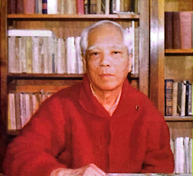 Giáo sư Bùi Huy Đáp.
