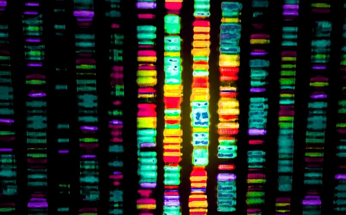 Thế giới cần nhiều bộ gene AI hơn - cần năng lực “tư duy lại” sản phẩm và dịch vụ từ đầu với AI là trung tâm. Ảnh: Shutterstock