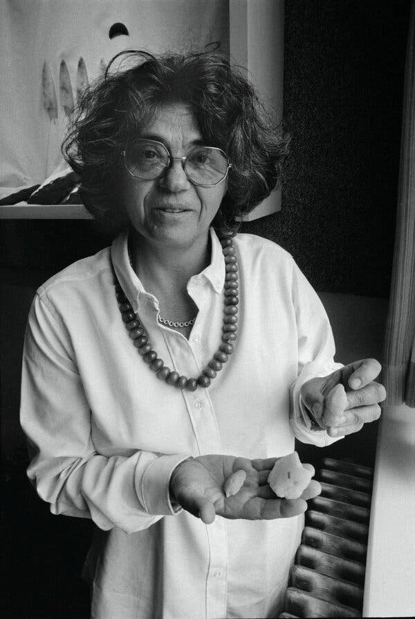 Niede Guidon (1933-2025) là nhà khảo cổ đã thách thức lý thuyết lâu đời về thời điểm con người lần đầu tới châu Mỹ. Niede Guidon (1933-2025) là nhà khảo cổ đã thách thức lý thuyết lâu đời về thời điểm con người lần đầu tới châu Mỹ.