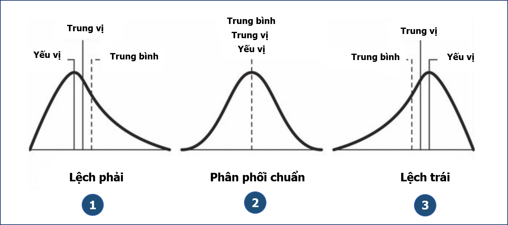 Một số dạng phân phối thông kê thường gặp. Ảnh: KHPT