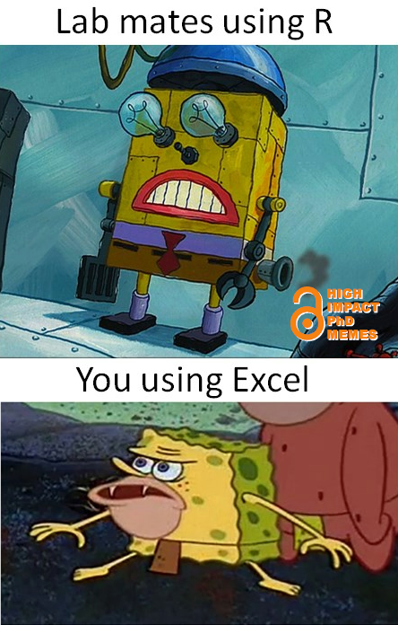 Nguồn: High impact PhD memes