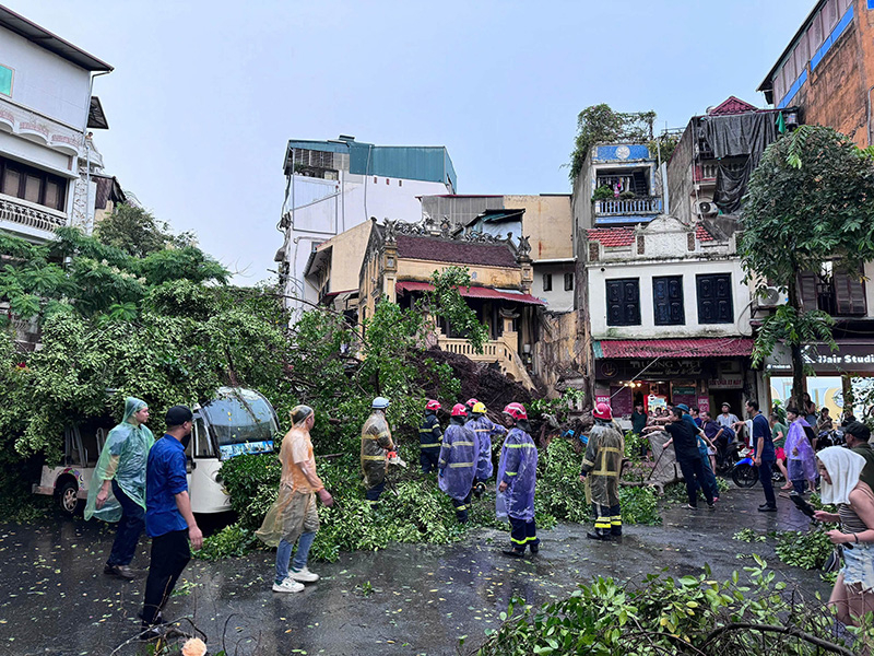 Cây cối đổ la liệt tại Hà Nội do ảnh hưởng của bão Yagi chiều 6/9/2024.