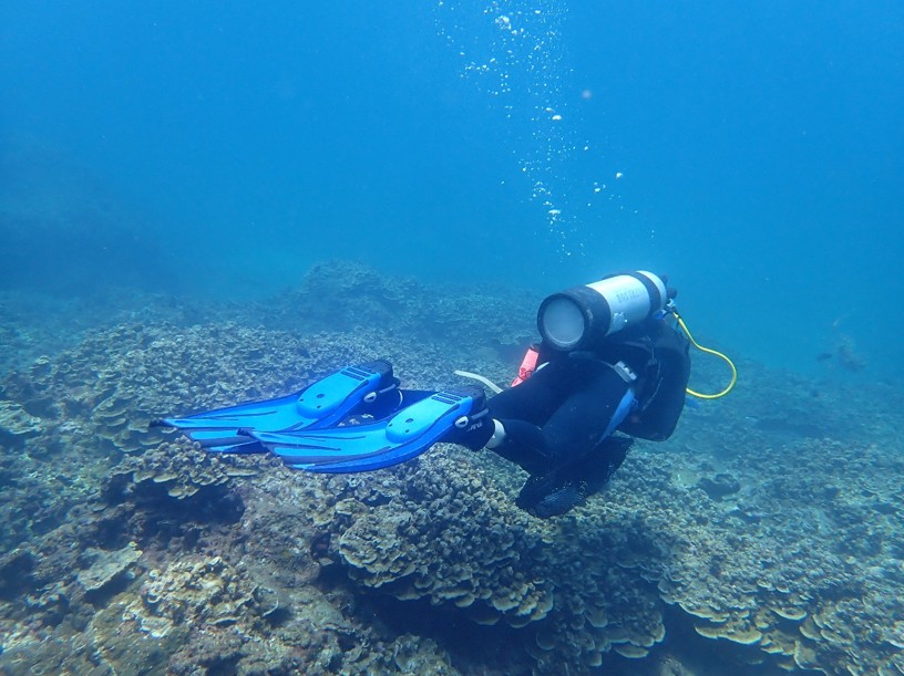 Các nhà khoa học thu thập mẫu vật. Ảnh: VAST