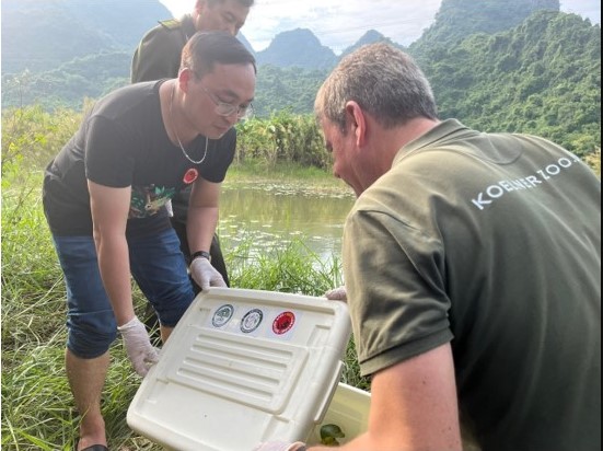 Thả các cá thể Ba ba yếm đốm về hồ Tam Chúc, Khu du lịch Quốc gia Tam Chúc, tỉnh Ninh Bình. Nguồn: VAST