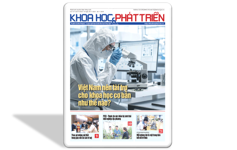 KHPT số 1371 (số 47/2025)