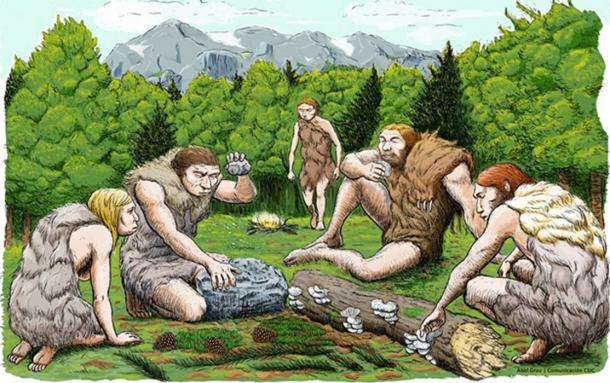 Người Neanderthal săn bắn nhưng cũng hái lượm và nấu chín thức ăn của họ.