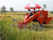 Đẩy mạnh cơ giới hóa sản xuất nông nghiệp các tỉnh phía Nam