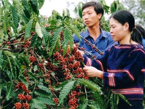 Làm giàu bằng khoa học công nghệ