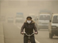 35 năm nữa 6,6 triệu người chết vì ô nhiễm không khí
