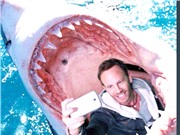 Du khách tử nạn vì... selfie nhiều gấp 1,5 lần do bị cá mập cắn