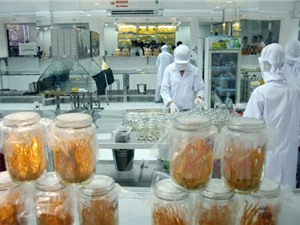 Chuyển giao công nghệ sản xuất đông trùng hạ thảo ở Việt Nam