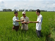 Ứng dụng khoa học vào phát triển kinh tế vùng đồng bào Khmer