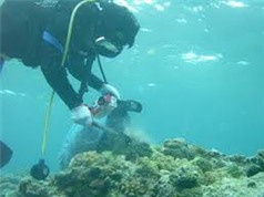 Cấp phép tổ chức nước nghiên cứu khoa học trong vùng biển Việt Nam