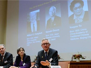 Nhóm các nhà khoa học Nhật Bản, Trung Quốc, Ireland đoạt giải Nobel Y học