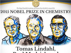 Giải Nobel Hóa học đã có chủ