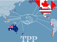 Vào TPP Việt Nam đối mặt với vấn đề sở hữu trí tuệ