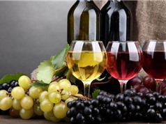 Rượu vang đỏ tốt cho bệnh nhân đái tháo đường type 2