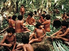 Kinh hãi hủ tục ăn tro người chết của bộ lạc ở Amazon