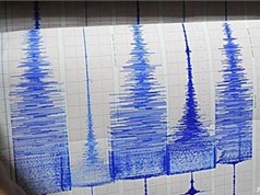 Động đất 7,3 độ Richter rung chuyển Thái Bình Dương