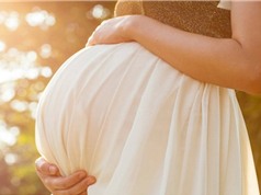 Tìm ra cách khôi phục trứng "xấu", giúp phụ nữ mang thai