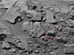 Phát hiện gấu trên Sao Hỏa?