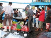 Đánh bắt cá xa bờ: Ngư dân Tiền Giang ứng dụng lưới đuôi vây