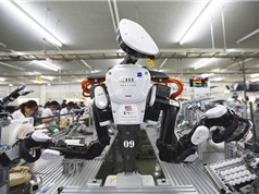 Robot làm tăng đáng kể năng suất lao động