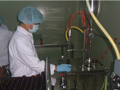 Curcumin dạng siro đầu tiên được sản xuất tại Việt Nam 