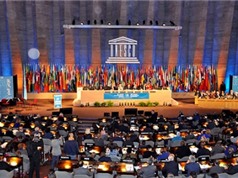 Hai trung tâm Quốc tế về Toán học, Vật lý của VN được UNESCO công nhận
