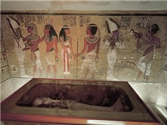 Bí mật chấn động trong lăng mộ của Hoàng đế Ai Cập Tutankhamun