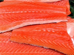 Cá hồi biến đổi gene dùng làm thức ăn ở Mỹ gây tranh cãi