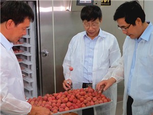 Công nghệ bảo quản sau thu hoạch CAS: Bàn đạp cho ngành xuất khẩu nông sản Việt