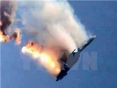 Phản ứng của NATO trước vụ Thổ Nhĩ Kỳ bắn hạ máy bay Nga