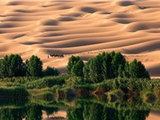 Sa mạc Sahara từng là thiên đường