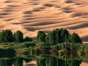 Sa mạc Sahara từng là thiên đường